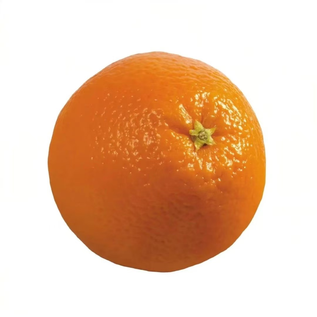 帝一签